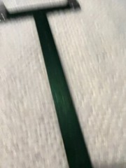 The Game Tracker Archery T Scale