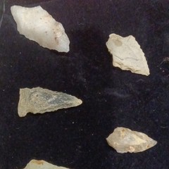 Stone Arrowhead Points Lot w/ Display Case, Multicolor – Hunting Archery