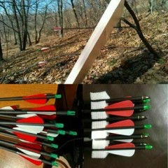 28/30″ Carbon Arrow Practice Hunting Removable Tips for Compound & Recurve Bow