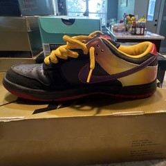 Nike SB Low-Top Appetite for destruction Shoes US 8.5 D Medium Width