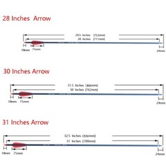Carbon Arrow 28/30/31 Inches Length Spine 500 with Replaceable Arrowhead