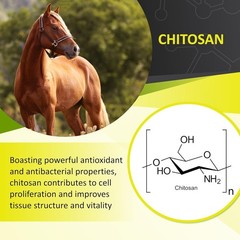 GastroMend XC, 100% Natural Equine Stomach Health for Horses, Promotes Healin…