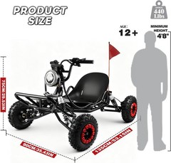 Electric Go Kart 2000W Motor Go Kart Premium Steel Tubular Frame 3 Speed 30MPH