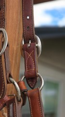 Vintage MacPherson Los Angeles Show Halter North & Judd Buckles Silver Overlay