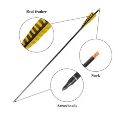 32 Inch Carbon Archery Arrows，Spine 400 with Removable Tips, 4inch Turkey Fea…