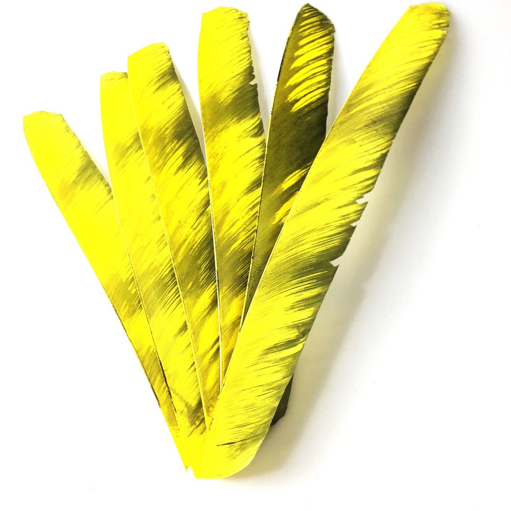50pcs Archery RW Fletches 18-25cm Turkey Feather DIY Traditional Hunting Arrows