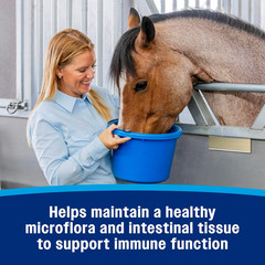 Hindgut Stabilizer Pellets, Daily Digestive & Immune Supplement for Horses Helps