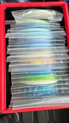 WHOLE DISC GOLF COLLECTION