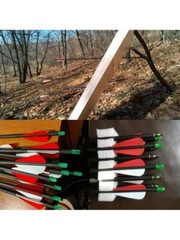 12Pack 30-inch Carbon Arrows SP500 Archery Hunting For Compound&Recurve Bow