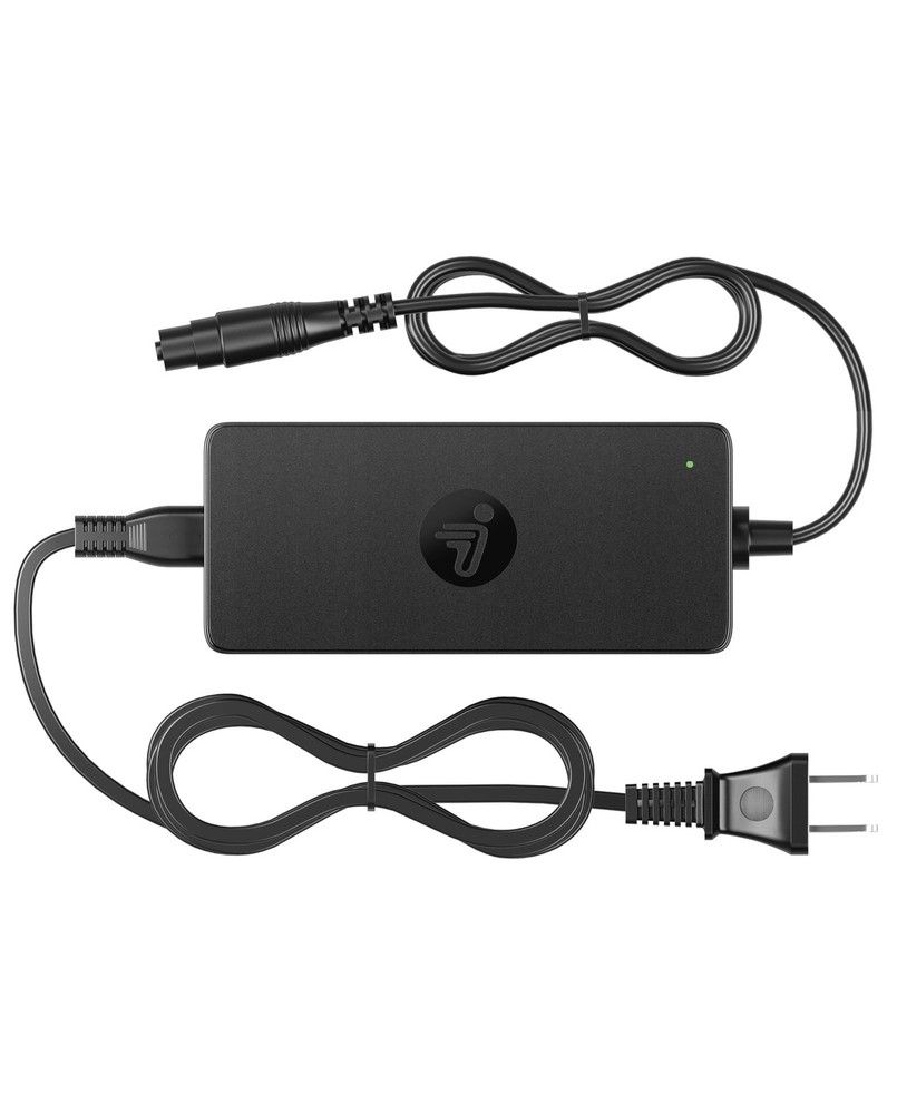 UL CE Certified 53.6V 3.9A Fast Charger Compatible with Segway Ninebot MAX G3…