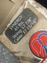 Elite Synergy 65 Everything