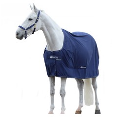 Bucas Show Shamrock Power Stay Dry Fabric In Breathable Technical Fabric