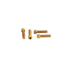 5/16″-18*1-1/4″ Gold Stainless Steel Handlebar Top Cover Riser Bolts for Harley