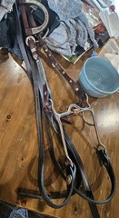 Horse Western Silver Show Headstall, Reins, Bit Set