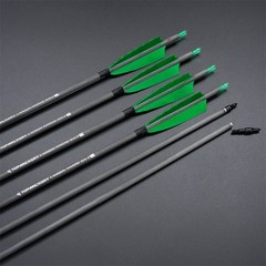 Archery Carbon Arrows Spine400 with Feather Set for Recurve/Compound Bow Hunting