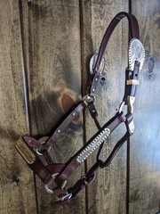 Dark Oil Yearling Show Halter – Congress Cut Silver – Matching Lead Shank