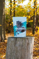 Geloren Horse HA Supplementary Mix, Joint Support, 3×450 g Apple Jelly, FREE P&P