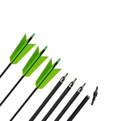 AMEYXGS 12 Pcs Archery Hunting Arrows Mix Carbon 30 Inch Flu Flu Arrows Spine…