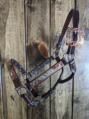 Silver Show Halter – Dark Oil – Silver & Copper Accents – Horse Size -Lead Shank