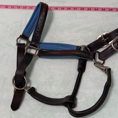 USED Black and Blue Padded Leather Horse Halter Large Size with Bling