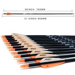 30Inch Carbon Arrow Practice Hunting Arrows with Removable Tips for Compound …