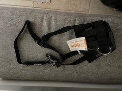 Cashel Grazing Muzzle Halter – Pony (Gmh-P) NWT.  Buyer pays shipping, USPS flat
