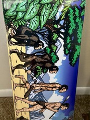 Supreme Evolution Skateboard Deck SS26 8.25 X 32 Brand New Sold Out