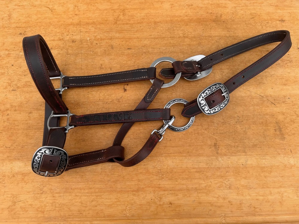 Custom Made Leather Horse Ranch Halter w J.Watt Hardware ~ «SARGE»