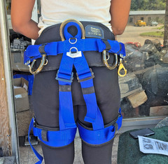 BUCKINGHAM ELITE ARBORMASTER DELUXE 16092W1L ARBORIST SADDLE LARGE 38″-42″ WAIST