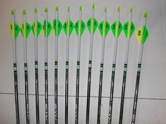 Easton Axis 260 5mm Hunting Carbon Arrows! Crested/Dipped Bohning Blazer Vanes