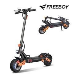 FREEBOY H9 6000W Peak 60V 30Ah Foldable Electric Scooter Dual Motar for Adults