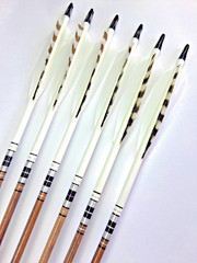 6 MATCHED WOOD ARROWS 31″ BOP