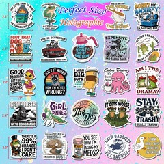 200 PCS Funny Holographic Stickers for Adults, Waterproof Vinyl Sarcastic Mem..