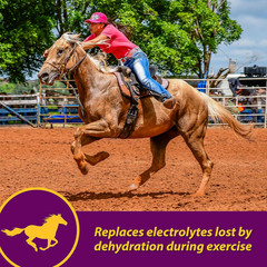 Horse Health Apple-Dex Apple Flavored Electrolytes 30 Pound 240 Days