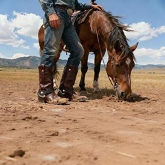 High-Polished Finish Stainless Steel Western Spurs with Leather Straps Black