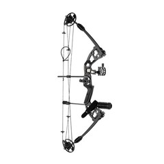 Black Compound Bow Kit with 12 Arrows Right Hand Archery Hunting Set 30-55lbs US