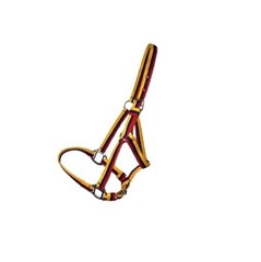 Horse Halter Multi Color Nylon Adjustable Durable Comfortable Equestrian Tack
