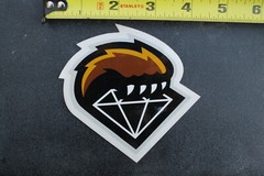 Diamond Supply Clothing Grizzly Bear Claw OG Z34A Vintage Skateboarding STICKER
