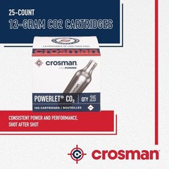 25-Count 12-Gram CO2 Cartridges for Air Rifles & Pistols – Genuine Powerlet