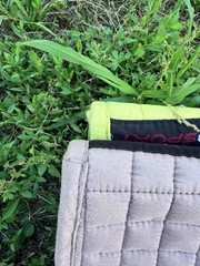 LeMieux ProSport Suede GP Saddle Pad Large Citron – Excellent Used Condition
