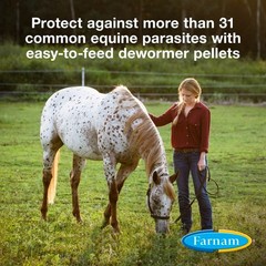 PyrantelCare Daily Dewormer 10 lb Horse Wormer Pellets Short Dated Exp 4/2026