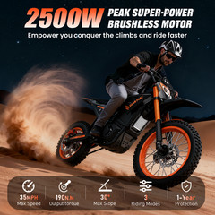 Electric Dirt Bike 1200W 48V 20.8AH Mid-drive Motor Ebike for Teens Adults