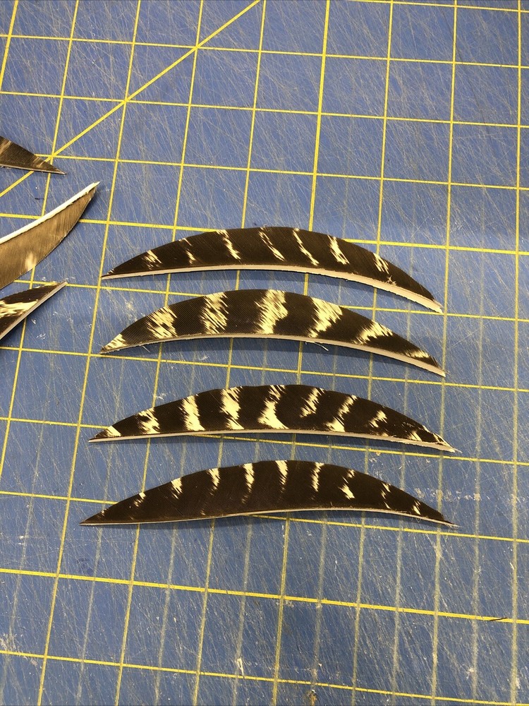 5″ Right Wing Banana Natural Barred Feather Fletching, 25Pk Archery 🇺🇸