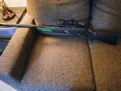 Gamo Bone Collector with 4x 32 scope Cabellas