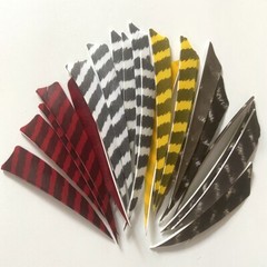 Archery Turkey Feather Right Wing 5in Barred Fletches Hunting Arrows Art Craft