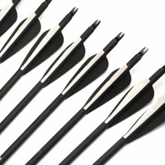 12pcs 30» Archery Carbon Arrows Hunting Broadheads 100 grain Quiver Bow Target