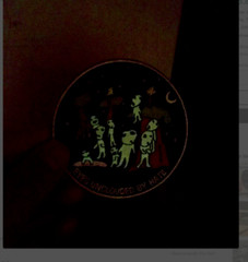 Glow in the dark, Kodama Patch, Princess Mononoke Iron on patch for cap backpack