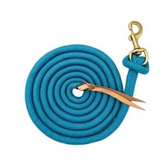 Formay 10 Foot Nylon Lead Rope