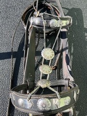 SIMCO Parade 15” Western Saddle