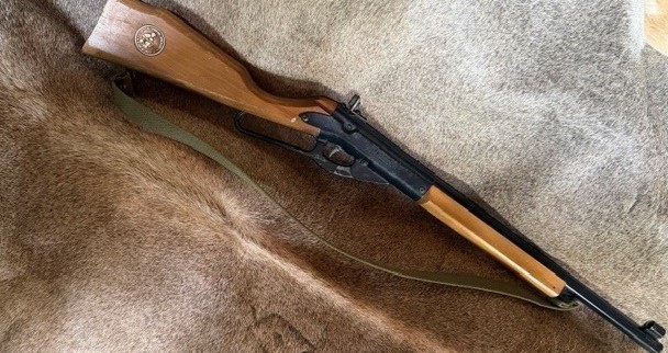 Vintage DAISY Model 99 Champion BB Gun (in excellent working condition)